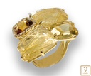 ANILLO TRAPEZOIDES Y RECTANGULOS