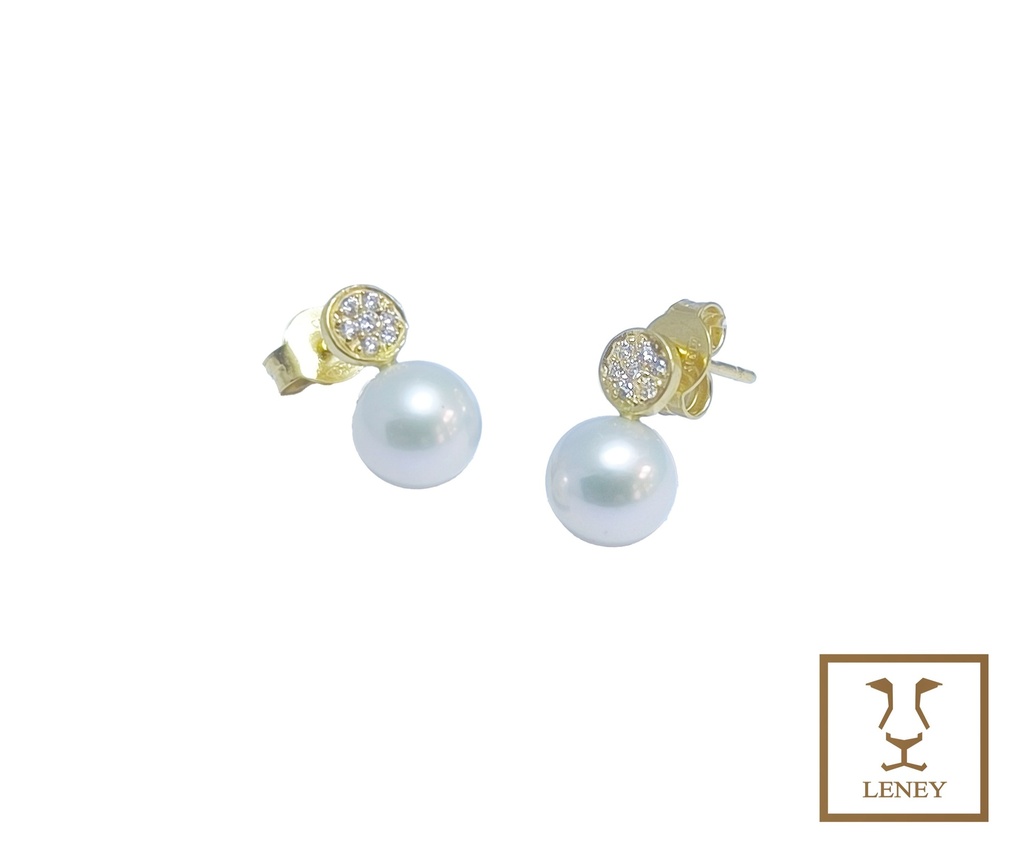 ARETE CIRCULO 5.5MM CON CIRCONES