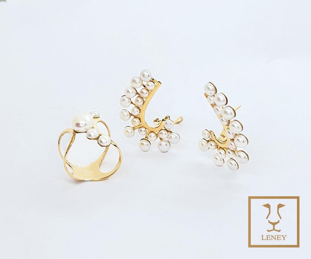 JUEGO 2 PIEZAS ANILLO