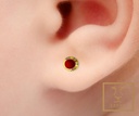 ARETE ORTOPEDICO CORAL 4MM CASA