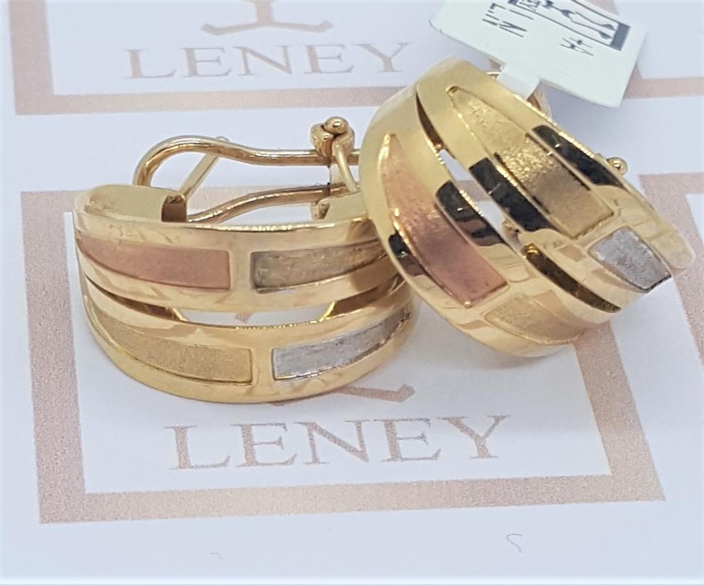 ARETE J SEGMENTOS Y NIVELES