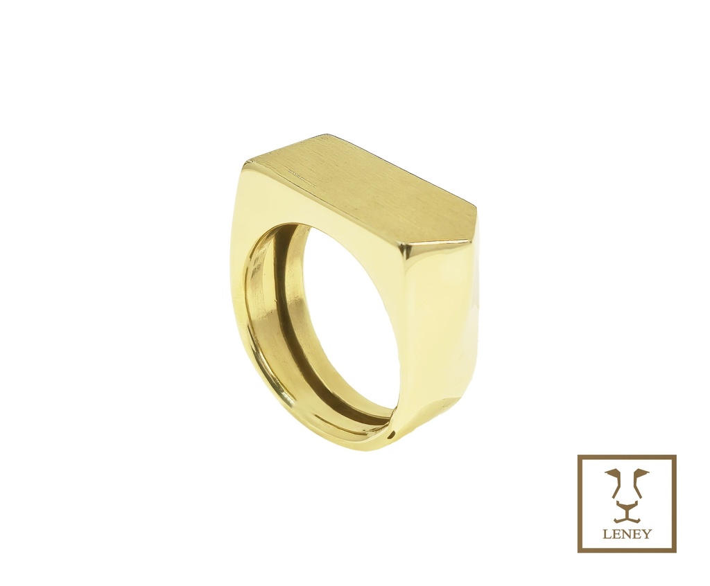 ANILLO UNA VIA O DIRECCION