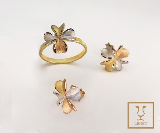 [1333W18] JUEGO 2 PIEZAS ANILLO