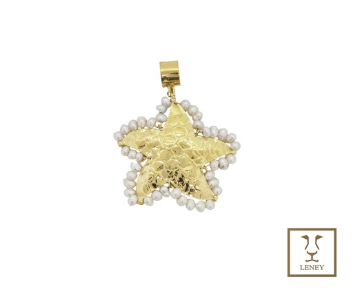 [1528W7] DIJE ESTRELLA DE MAR DE