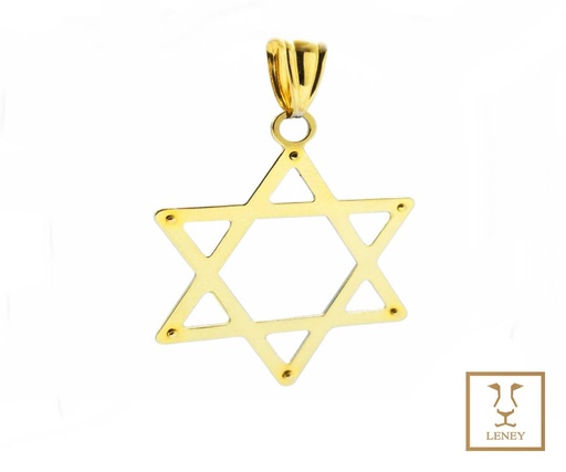 [1013W34] DIJE ESTRELLA DE DAVID