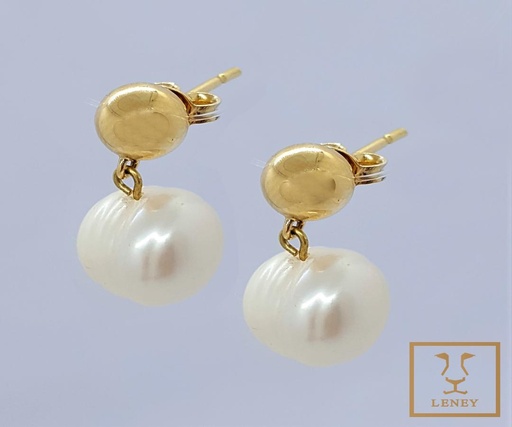 [1188W18] ARETE GOTA Y BOTON